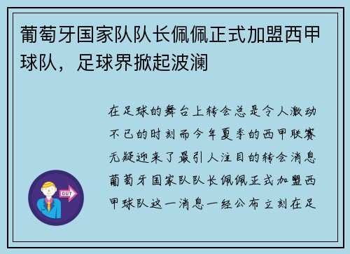 葡萄牙国家队队长佩佩正式加盟西甲球队，足球界掀起波澜