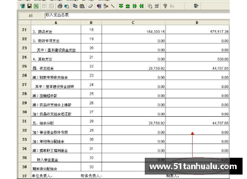 金沙js3833NBA球队财务情况详解：收入、支出与市场策略分析 - 副本