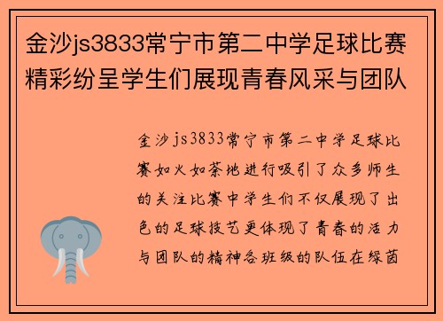 金沙js3833常宁市第二中学足球比赛精彩纷呈学生们展现青春风采与团队精神